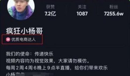 圈粉坚哥最新爆料视频大全,揭秘幕后真相，带你领略娱乐圈风云变幻